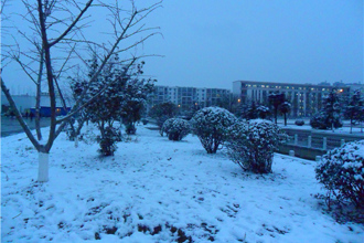 蒙城一中校园甲午雪景