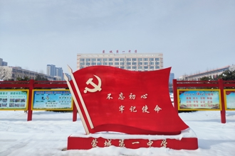 雪落成诗，尽揽芳华 |蒙城一中2024年校园雪景