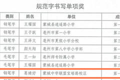 蒙城中学学生获市级演讲书写比赛大奖